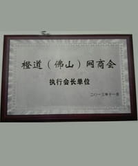 橙道（佛山）網(wǎng)商會(huì) 執(zhí)行會(huì)長(zhǎng)單位